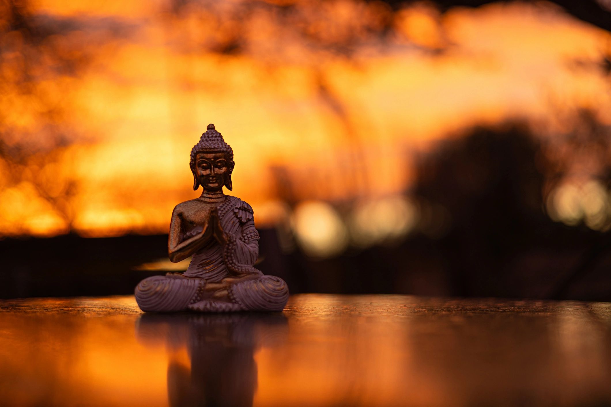 Serene sunrise silhouette for a calm, grounded start